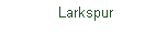 Text Box:              Larkspur