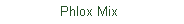 Text Box:                Phlox Mix
